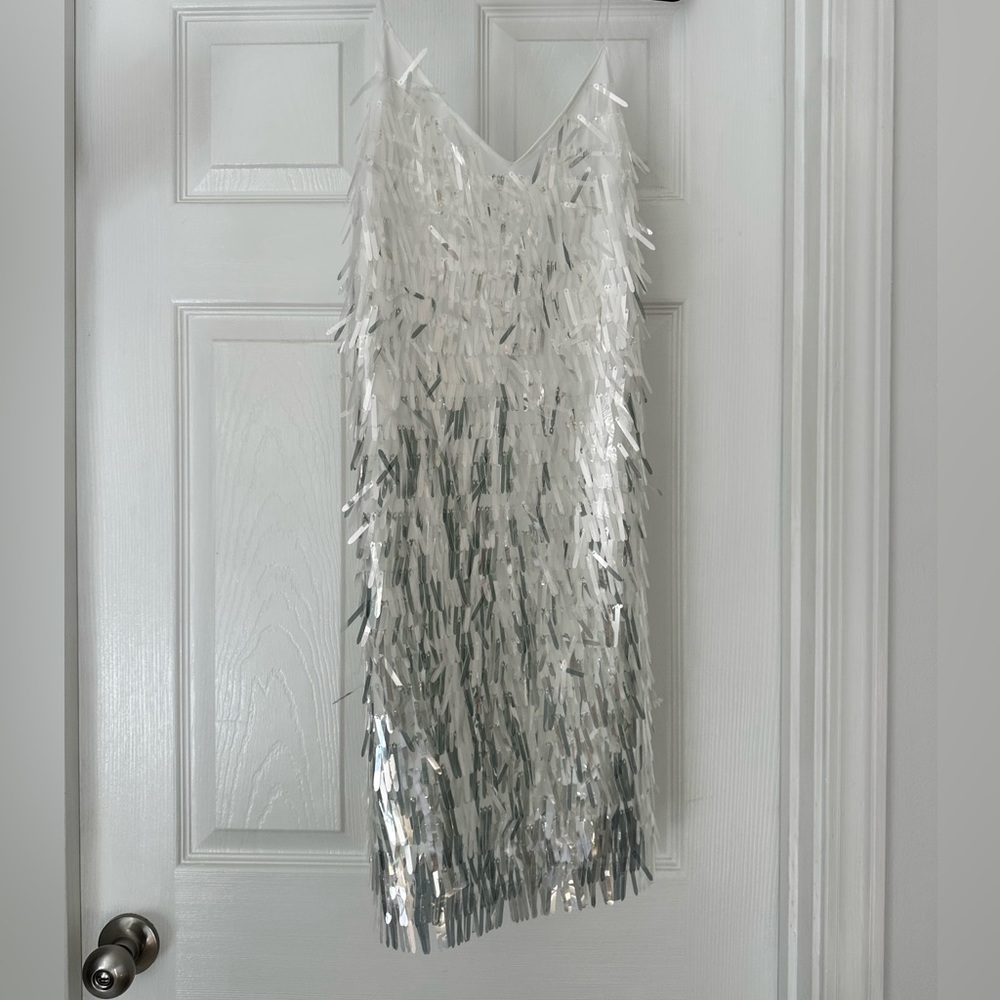 Untamed Petals silver dress
